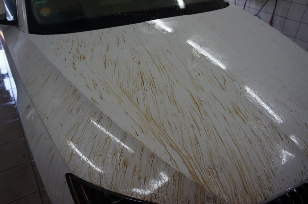 Dekontaminace laku – AutoShine Pardubice